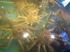 iphone_upload_pic-蟹之国·精品蟹料理(极地店)