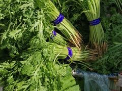 -北京清河镇农副产品交易市场中心