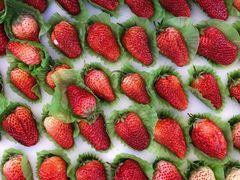 -百果园PAGODA(中铭豪园店)