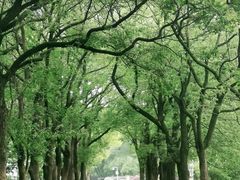 -东湖落雁景区