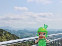 -呀诺达热带雨林