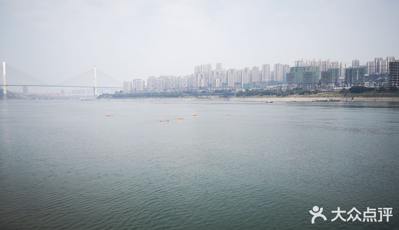 站在长江边上，左右各有三座桥，重庆既是雾都也是桥都