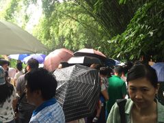 -东北人粗粮饺子坊(南山店)