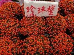 -重庆市江北嘴中央商务区中央公园