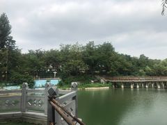 -淄博花灯齐彩城