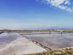 -莺歌海盐场