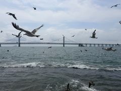 -星海广场