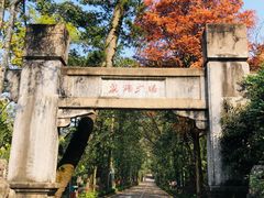 -鼎湖山风景区