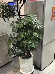 -LJOY丽锦造型·烫发染发