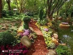 -上海共青森林公园