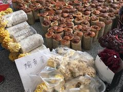 -长春农博园