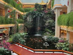 -白天鹅宾馆-宏图府餐厅