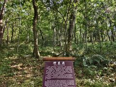 -南京金牛湖风景区