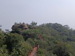 -大岭沟猕猴桃谷风景区