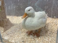 -狗道宠物(常熟印象城店)