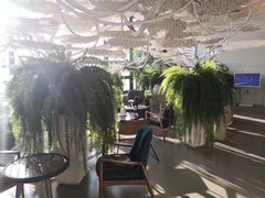 -哈尔滨圣安口腔专科医院