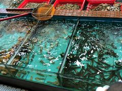 -景好海鲜餐厅(大鹏必选旅游店)