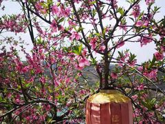 -陈炉古镇