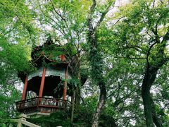 -乌山风景区
