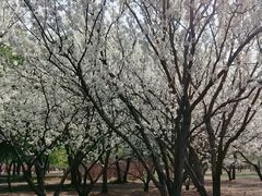 -长春公园(普阳街道)