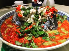 -湘潭九龙鱼头店(城南西路店)