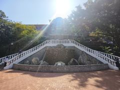 -香港大学