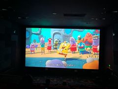 -龙之星国际影城(太平店)