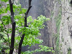 -雁荡山三折瀑景区