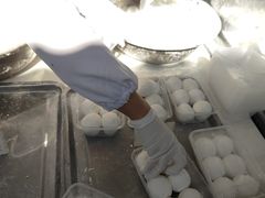-葑门横街