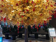 -筠咖啡西餐厅(上海国展宝龙丽筠酒店)