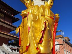 -长虫山生态公园风景林