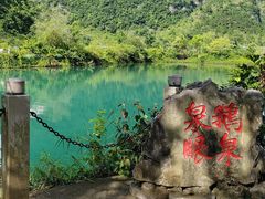 -靖西鹅泉风景区