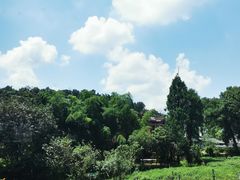 -野蔓果·山野菜(西湖景区·龙井茶田店)