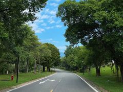 -鲤鱼洲酒店港鲤咖啡厅