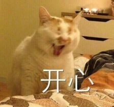 -CoCo都可(银泰店)