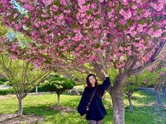 -石岛赤山风景区