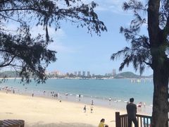 -海之鲜大排档(东山海鲜金銮湾店)