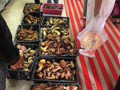 -双喜农庄·菌香园(安居家园店)