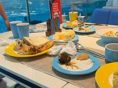 -帝企鹅自助餐厅•儿童岛•真企鹅(长隆企鹅酒店)