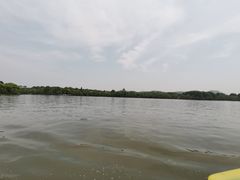 -西湖游船