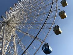 -琴岛之星摩天轮