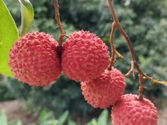 -海底捞火锅(杭州萧山宝龙广场店)