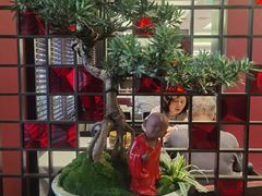 -小榄人家酒楼(民安店)