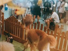 -藦茜花园宠物主题亲子互动体验馆(国顺东路店)