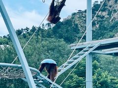 -西霞口神雕山野生动物世界