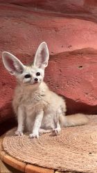 -Zoolung Zoolung动物主题公园(海信广场店)