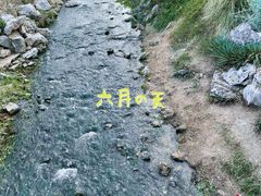 -羊山湖公园