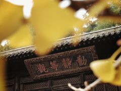 -大觉寺-停车场