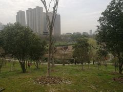 -堤角公园