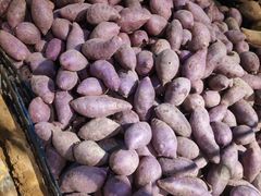 -华润万家(M2香港名都店)